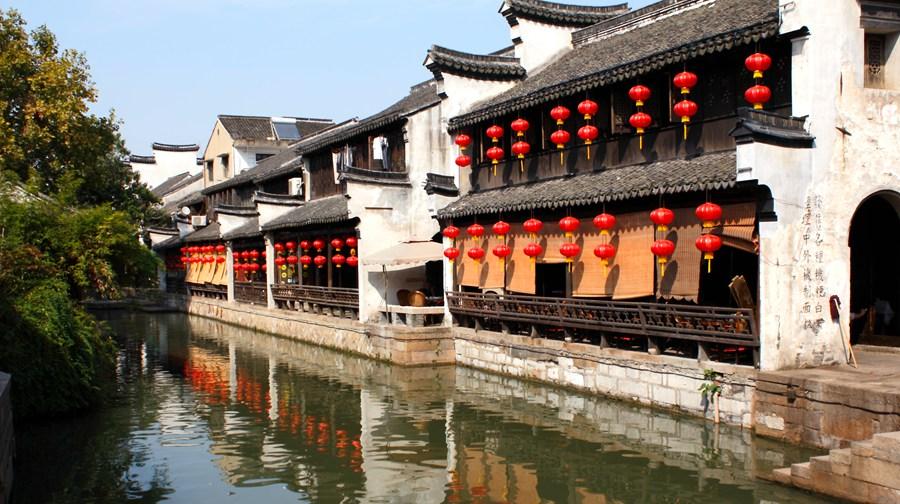学习插花艺术